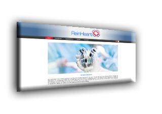 ReinHeart GmbH